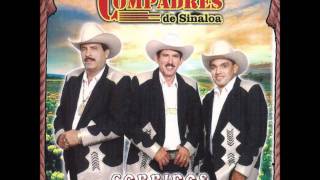 LOS COMPADRES DE SINALOA HABLEMOS [upl. by Jany]