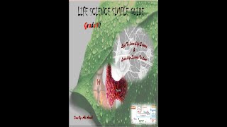 Endocrine system part 6 Role of Pancreas in regulation of Glycemia Grade1 amp Grade11science [upl. by Eenoj]