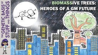 Gibberellin overexpression increases tree biomass The future of forestry [upl. by Alicsirp]