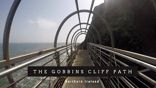 Highlights of the AMAZING Gobbins Cliff Path  Northern Ireland [upl. by Antoni]