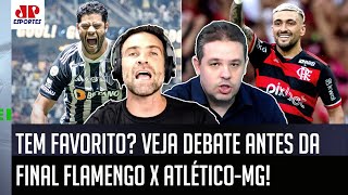 quotEU NUNCA VI ISSO cara O Flamengo temquot FINAL contra o AtléticoMG PROVOCA DEBATE [upl. by Lusar]