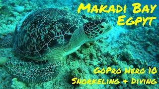 Fort Arabesque Makadi Bay Egypty Snorkelling and Diving 2022 [upl. by Oremar]