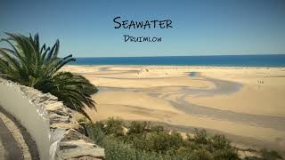 Druimlow  Seawater Official Video [upl. by Neelyhtak216]