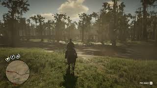 57 Reddish Egret location RDR2 [upl. by Eiramrefinnej615]