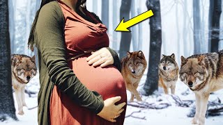 This Pregnant Woman Is Surrounded by the Pack of Wolf Then Miracle Happened [upl. by Noira]