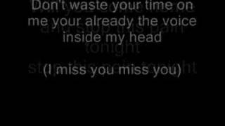 Blink 182 I Miss You lyrics and pics [upl. by Chick]