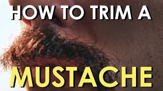 How to Trim Your Mustache  The Art of Manliness [upl. by Anelrahs304]