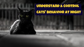 Cats Nighttime Activities How to Understand and Control Cats Behavior at Night [upl. by Vivianne8]