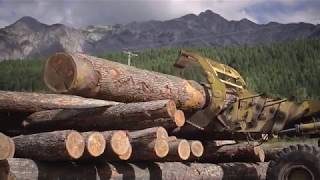 Canadian Timberframes  Log Decks amp Sawmill [upl. by Aelem]