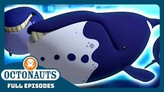 Octonauts  🐋 The Bowhead Whales 🐋  Season 2  Full Episodes  Cartoons for Kids [upl. by Marcellus]