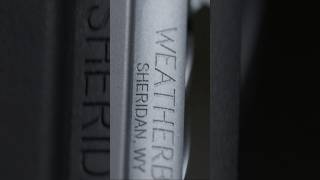 weatherby Mark V Live Wild [upl. by Assirim]