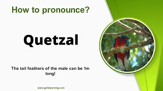 How to pronounce Quetzal in English correctly [upl. by Urdna]