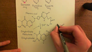 Thymidylate Synthase Inhibitors Part 1 [upl. by Ogram]