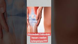 Dizimdeki kıkırdak hasarı neden iyileşmiyor aktifizyo fiziktedavi dizağrısı dizkireçlenmesi [upl. by Bakki950]