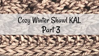 Cozy Winter Shawl KAL part 3 [upl. by Maitland]