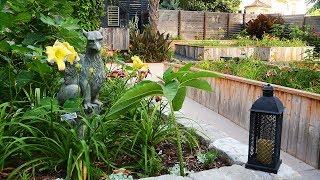 Daylilies Courtyard Outdoor Oasis Jeff amp Skottie Central Texas Gardener [upl. by Hughett850]