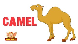 Animal Sounds  Camel [upl. by Osei]