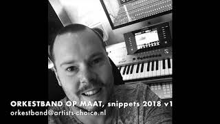 Orkestband op maat Snippets 2018 V1 [upl. by Lyret]