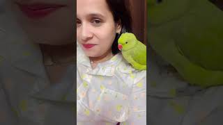 Parrot video 🦜🦜parrotparrot parroting parrottalking shortfeed youtubeshorts talkingparrot [upl. by Suinotna992]