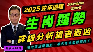 【蛇年運程】龍震天師傅2025蛇年生肖運勢｜十二生肖運程︱乙巳年生肖運勢 ｜2025蛇年十二生肖財運 事業運 姻緣運 是非運 健康運 詳細講解 附增運錦囊【足本完整版附中文字幕】蛇年運程 [upl. by Oiram563]