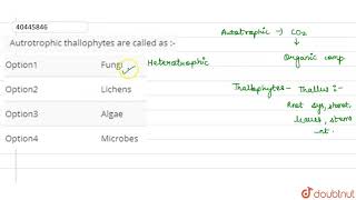 Autrotrophic thallophytes are called as [upl. by Hadeehuat]