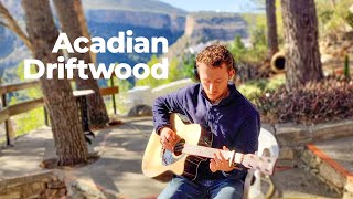 Acadian Driftwood  The Band Cover [upl. by Amasa]