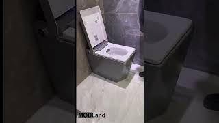 Matt Black Bidet Toilet [upl. by Oric]