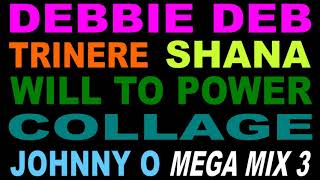 Freestyle Mega Mix3  Debbie Deb  Trinere  Shana  Collage  DJ Paul S [upl. by Ellehcsor847]