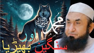 Mohammed SAW aur Khoonkhar Bhediya ka waqia  Molana tariq jmeel 2024 [upl. by Dibru845]