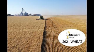 Steinert Farms Wheat Harvest 2021 [upl. by Siulesoj752]