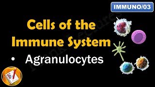 Cells of the Immune System PART II  AGRANULOCYTES FLImmuno03 [upl. by Scotty]