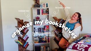 ORGANIZE MY BOOKSHELVES WME  setting up my new bookshelves amp bookshelf tour [upl. by Adehsar]