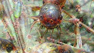 Trippy Insects  Google Deep Dream AI [upl. by Glennie]