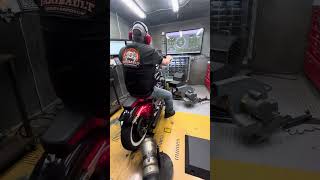 Hammer performance 1275 sportster xl dyno [upl. by Ettolrahc]