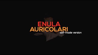 Enula  Auricolari selfmade version [upl. by Letnuhs]