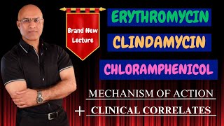 Clindamycin  Erythromycin  Chloramphenicol  MOA amp Clinical Correlations🩺 [upl. by Anilegnave]