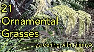 21 Ornamental grasses  Low Maintenance Plants For The Garden [upl. by Hennebery]