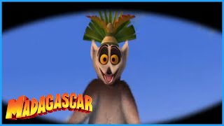 DreamWorks Madagascar  Best of the Lemurs  Madagascar Movie Clip [upl. by Ycat]