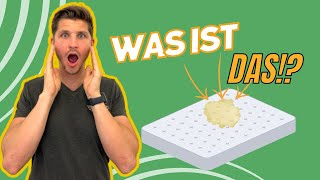 Gelbe Flecken aus der Matratze entfernen  Einfache Tipps und Tricks 💪🧽 [upl. by Hamlin]