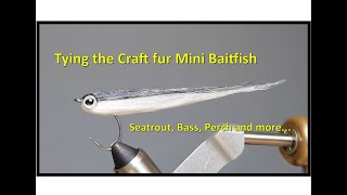 Tying the Mini Craft fur Baitfish Seatrout Bass etc [upl. by Lasonde]