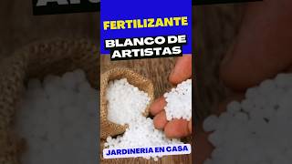 Fertilizante Blanco de Artistas El Secreto Mejor Guardado para Potenciar el Crecimiento [upl. by Aria]