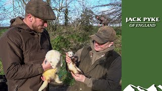 Cattyshack Waynes giant ferrets bolt rabbits [upl. by Porche]