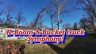 KBoom amp Bucket truck Symphony arborist trees america [upl. by Yruok]