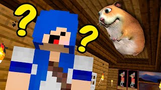 CADÊ ESSE HAMSTER FIND CHOMIKS MINECRAFT [upl. by Eblehs]