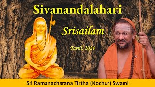 7 Sivanandalahari  Srisailam Satsang  Tamil  Oct 2024 [upl. by Arabela]