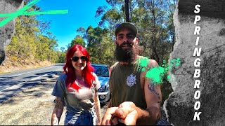 CHASING WATERFALLS at Springbrook national park [upl. by Sargent]