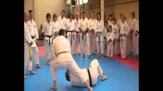 Bassai Dai Karate Kata Bunkai amp Oyo application seminar footage [upl. by Leamaj281]