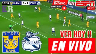 Tigres vs Puebla en vivo Donde Ver A Que Hora Juega Tigres vs Puebla Apertura 2024 hoy [upl. by Yekcir921]