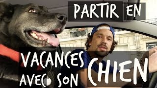 PARTIR EN VACANCES AVEC SON CHIEN  TOOPET [upl. by Swetiana324]