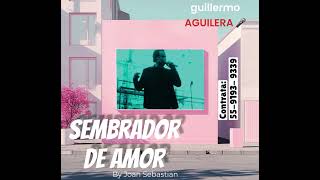 Sembrador de Amor  Cover Joan Sebastian [upl. by Champ]